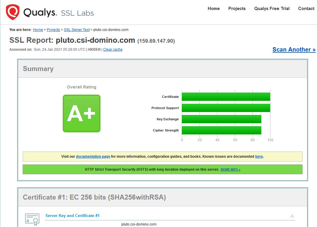 Image:Domino 12 Beta 1 - HTTPS Review & Ratings